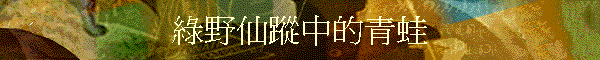 �񳥥P�ܤ����C��