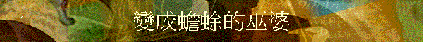 �ܦ����諸�űC