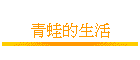 �C�쪺�ͬ�