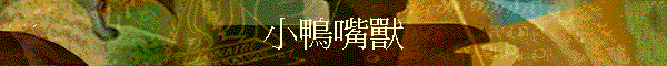 �p�n�L�~