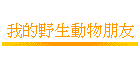 �ڪ����Ͱʪ��B��