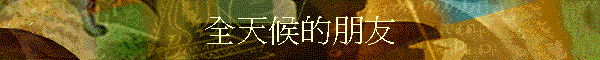 ���ѭԪ��B��