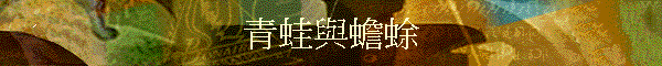 �C��P����