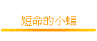 �u�R���p��