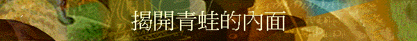���}�C�쪺����